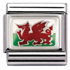 330207/02 Classic FLAGS,S/steel,enam.sterling silver wales